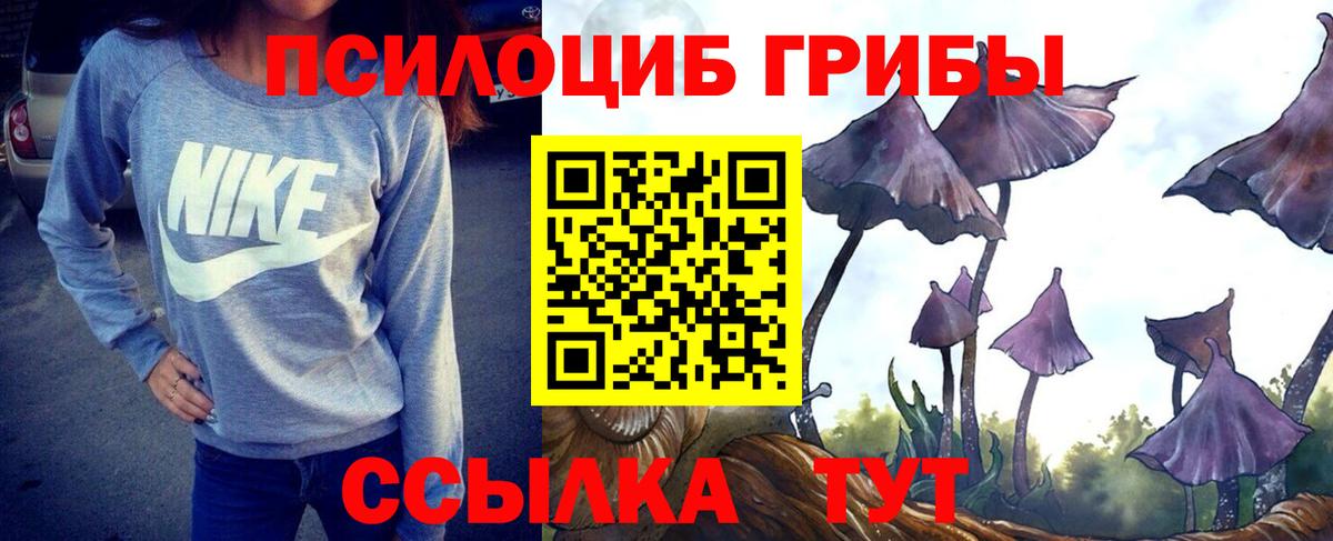 Галлюциногенные грибы Psilocybe  Вход с VPN  Нижнеудинск 
