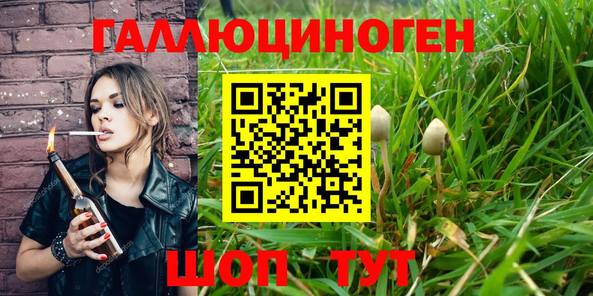Псилоцибиновые грибы MAGIC MUSHROOMS Нижнеудинск